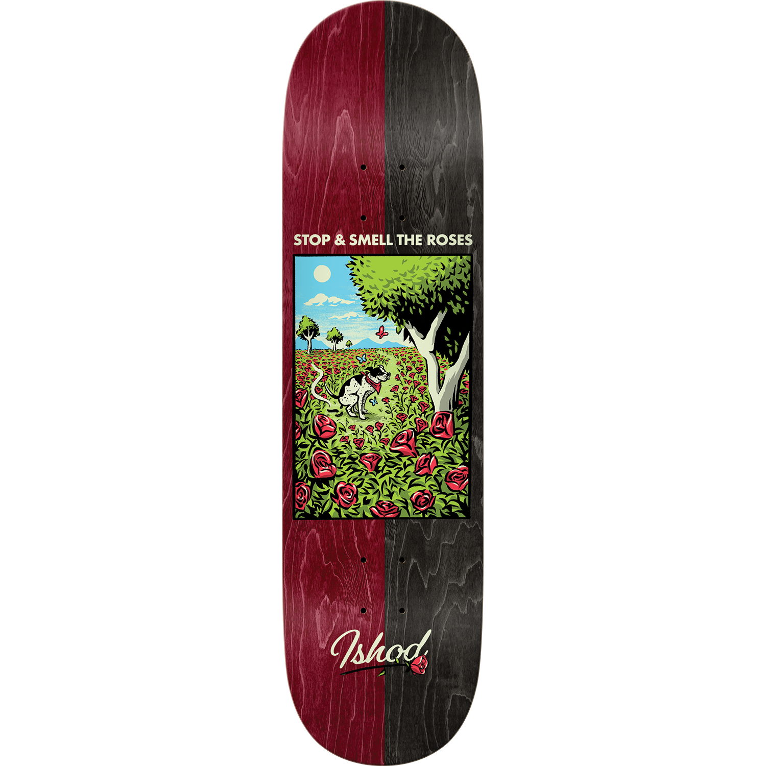 Real Skateboards Ishod Brightside True Fit-8.38