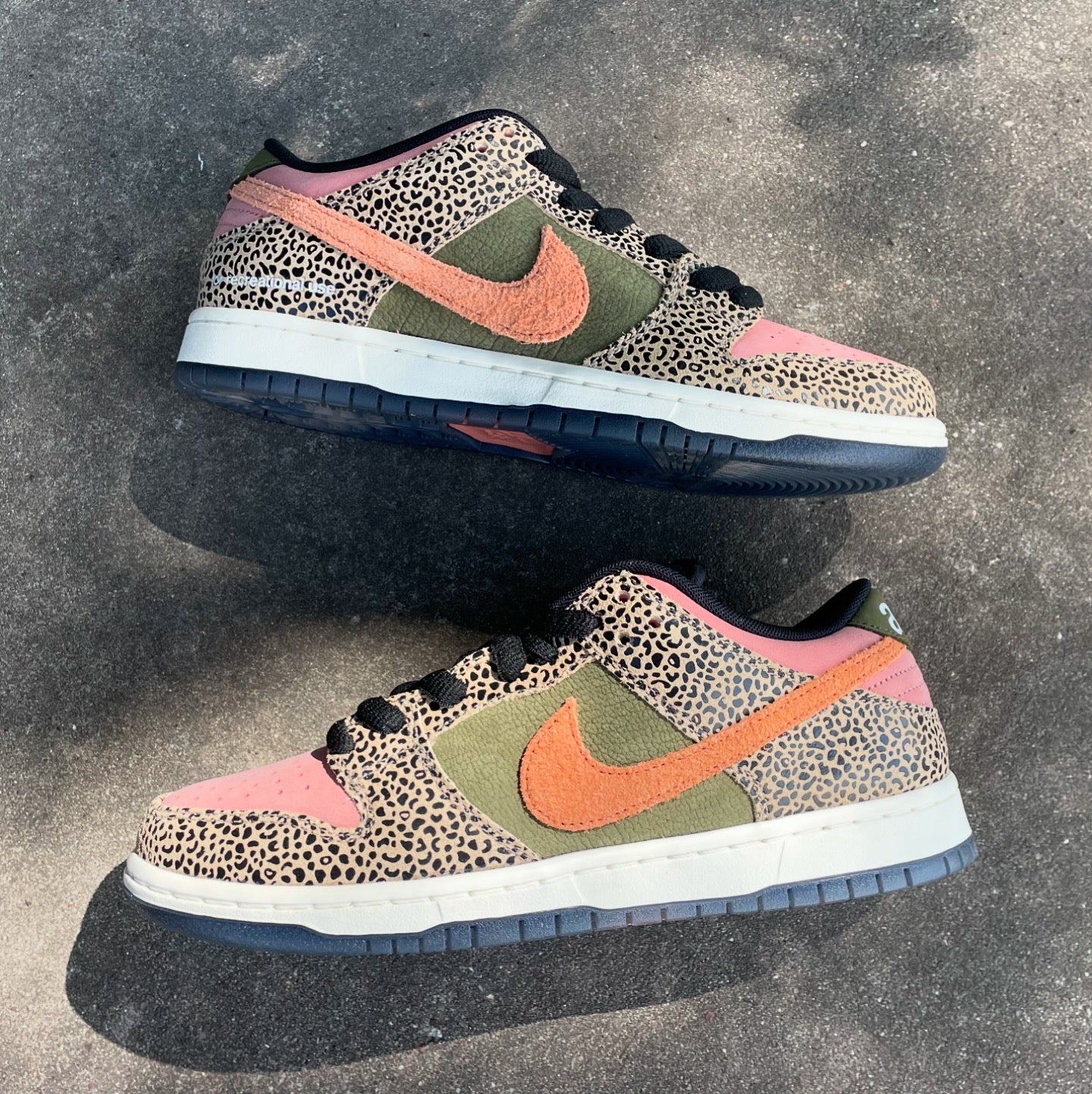 Nike SB Dunk Low X Arts-Rec